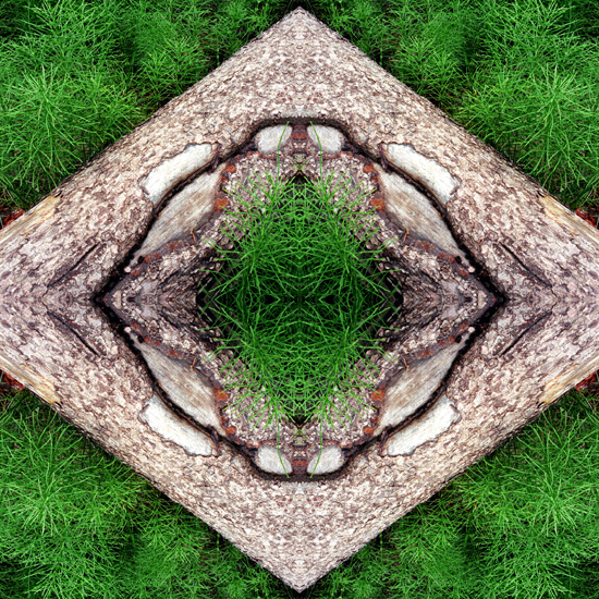 Woodsy Diamonds, 2006