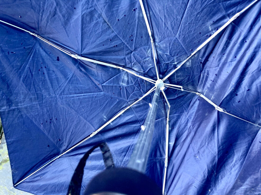 Umbrella 320 in a photo series of discarded umbrellas.