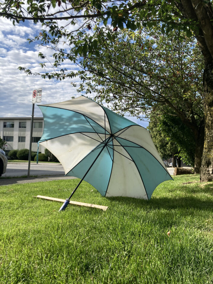 A discarded but new looking blue and white umbrella sits open on a grassy lawn in the sunshine.